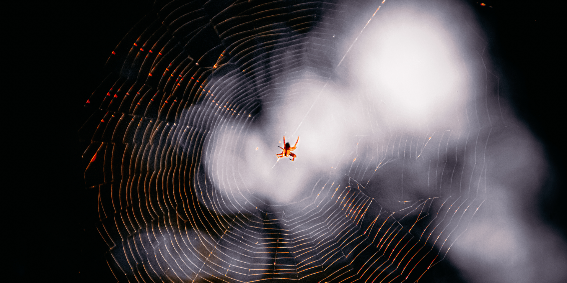 Detangling the Web